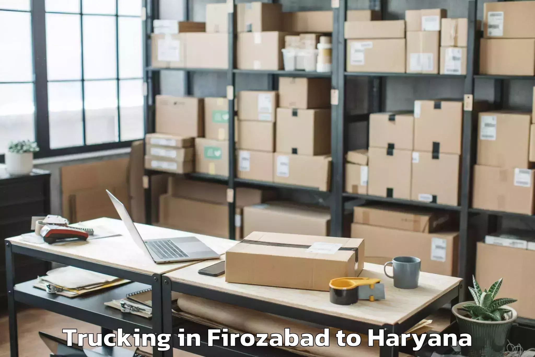 Professional Firozabad to Mor Kheri Trucking